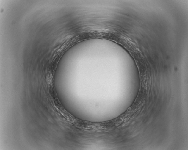 X0000086931061200705071347