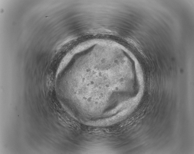 X0000086931063200705071347