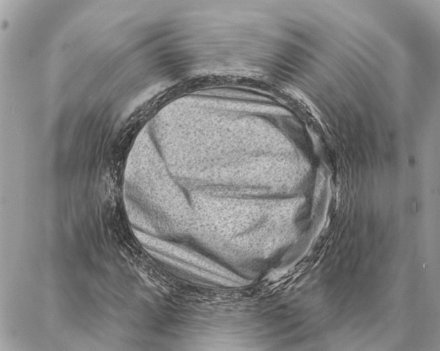 X0000086931064200705071347