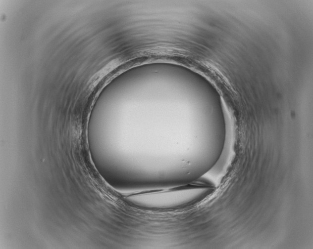 X0000086931065200705071347