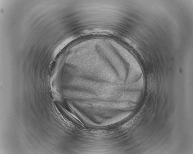 X0000086931066200705071347