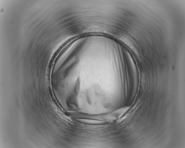 X0000086931068200705071347