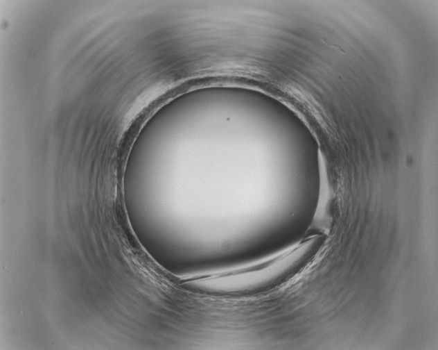 X0000086931069200705071347