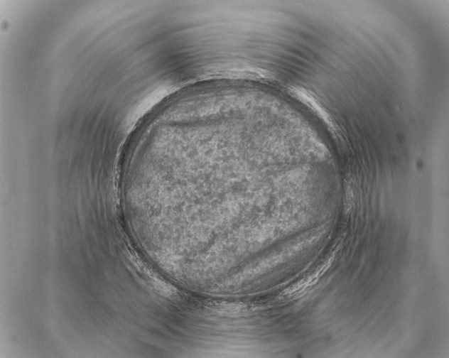 X0000086931071200705071347