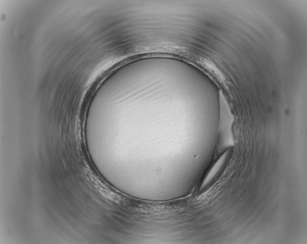 X0000086931072200705071347