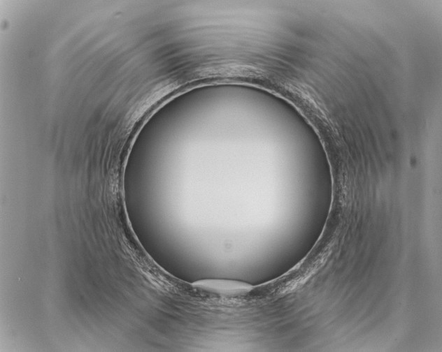 X0000086931073200705071347