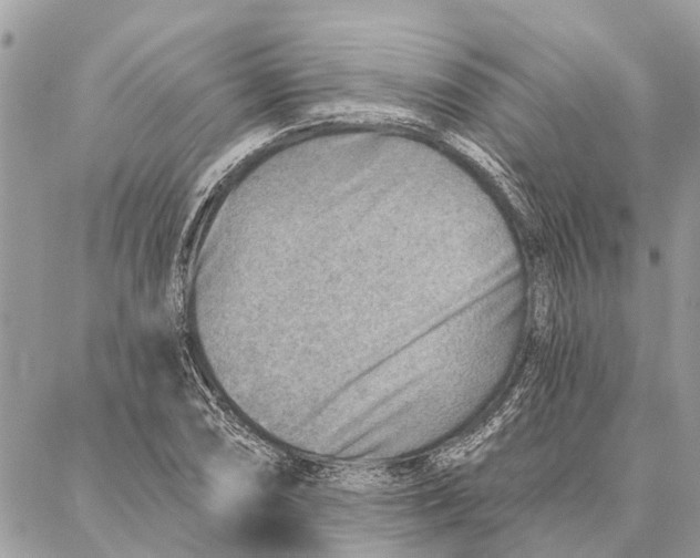 X0000086931074200705071347