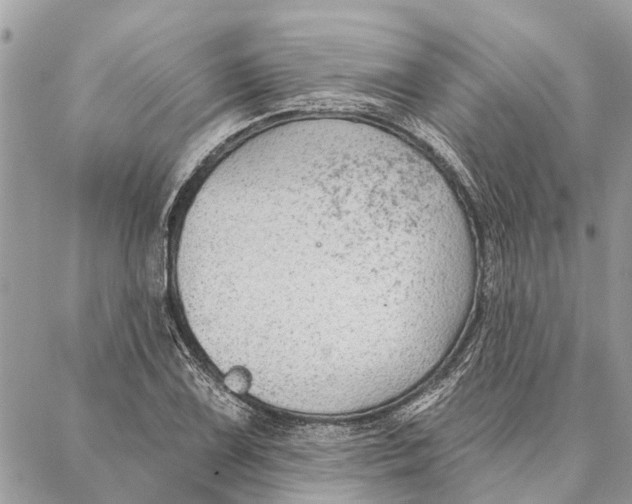 X0000086931075200705071347