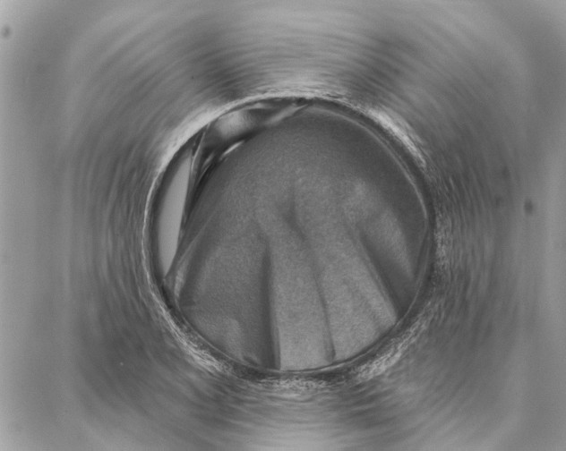 X0000086931077200705071347