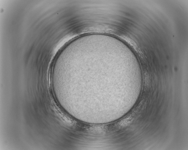 X0000086931078200705071347