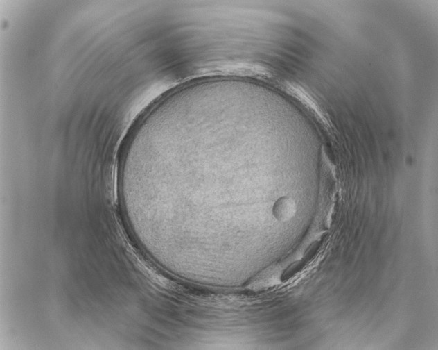 X0000086931079200705071347