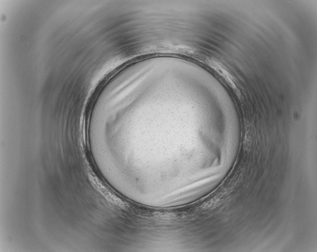 X0000086931080200705071347