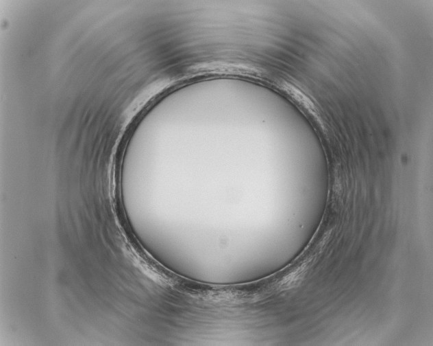 X0000086931082200705071347