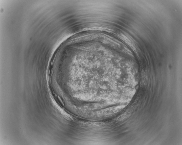 X0000086931084200705071347