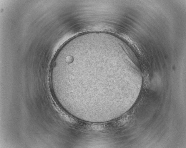 X0000086931086200705071347