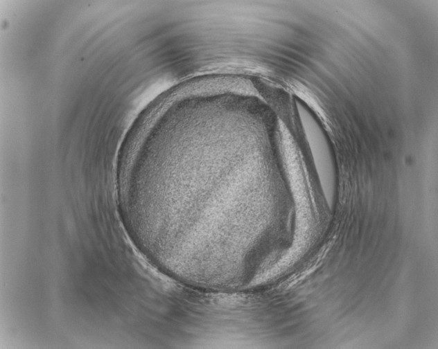 X0000086931087200705071347