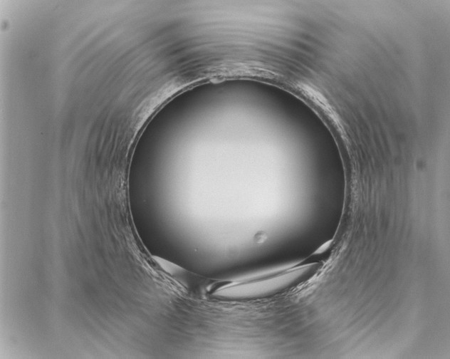 X0000086931089200705071347