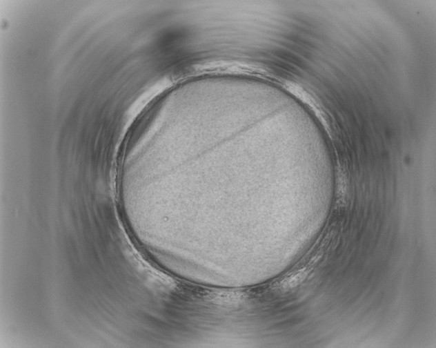 X0000086931090200705071347