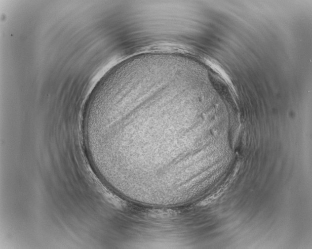 X0000086931091200705071347