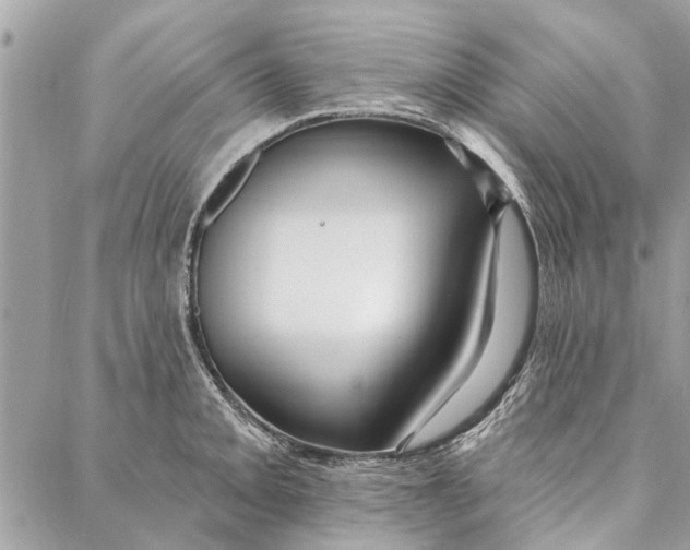 X0000086931093200705071347