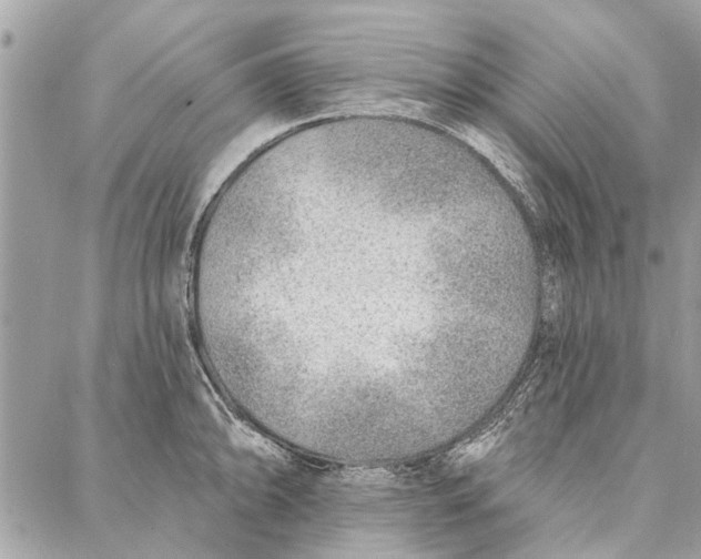 X0000086931094200705071347