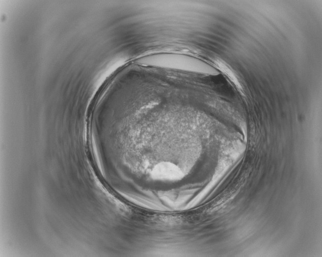 X0000086931095200705071347