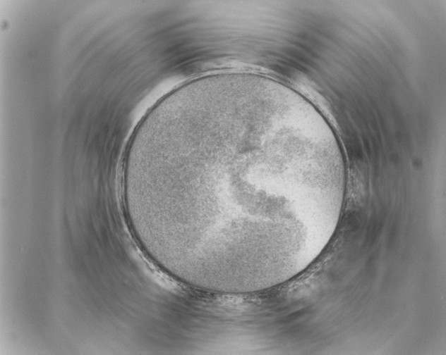 X0000086931098200705071347