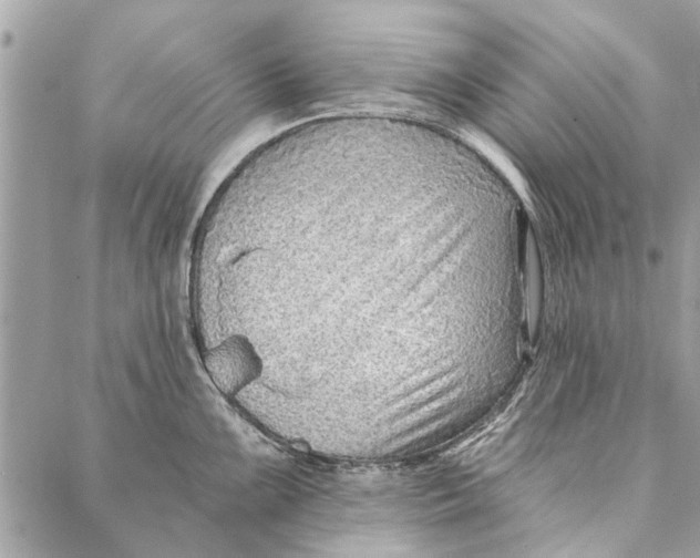 X0000086931099200705071347