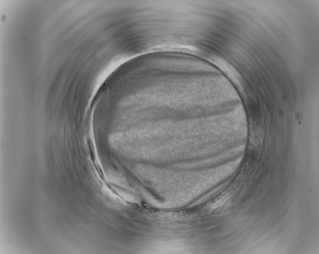 X0000086931102200705071347