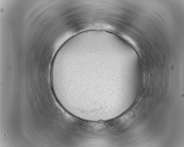 X0000086931103200705071347