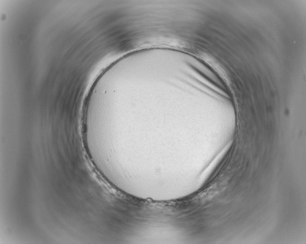 X0000086931104200705071347