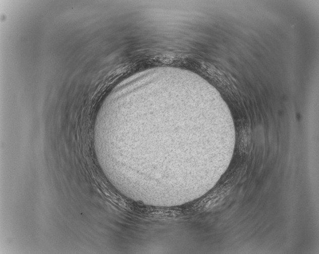 X0000086931105200705071346