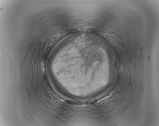 X0000086931106200705071346