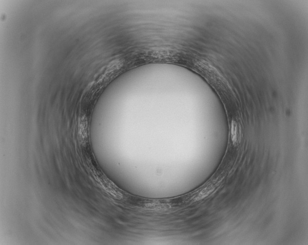 X0000086931107200705071346