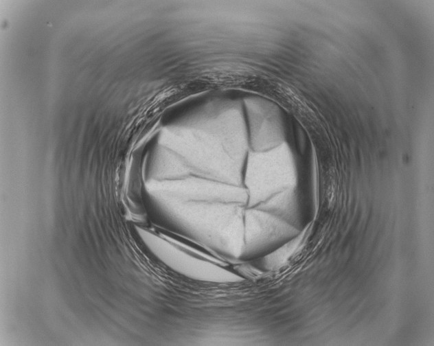 X0000086931108200705071346