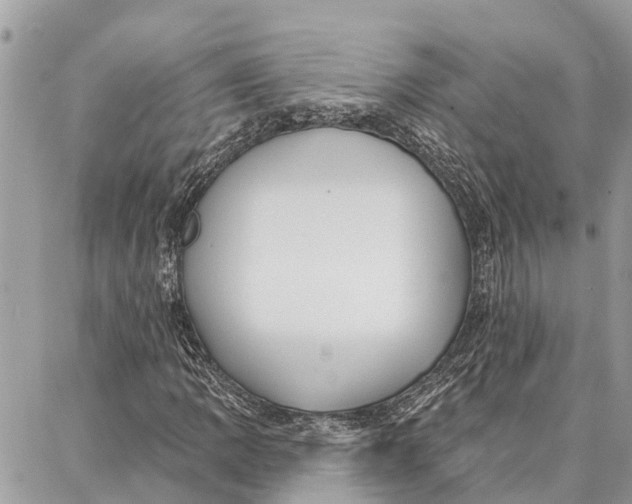 X0000086931109200705071346