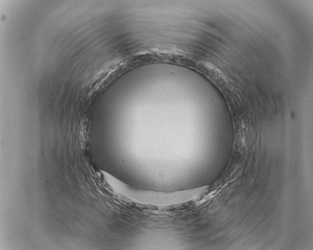 X0000086931110200705071346