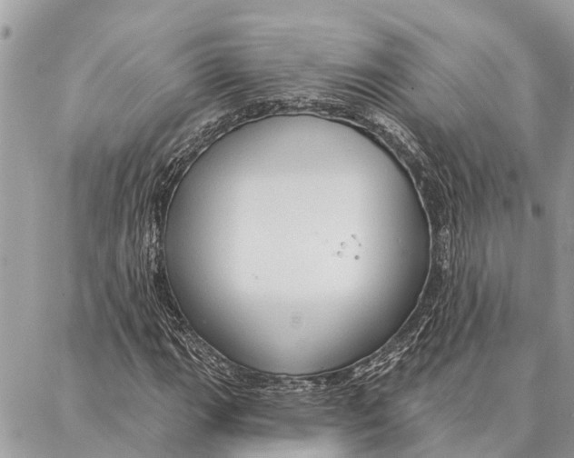 X0000086931111200705071346