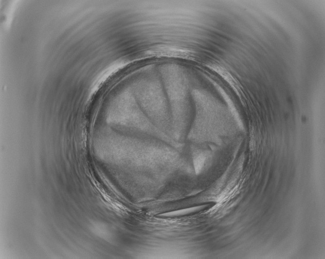 X0000086931115200705071346