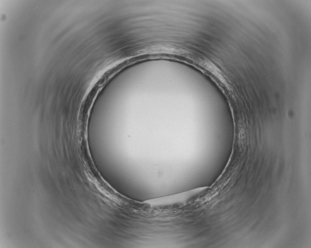 X0000086931116200705071346