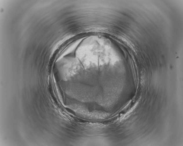 X0000086931117200705071346