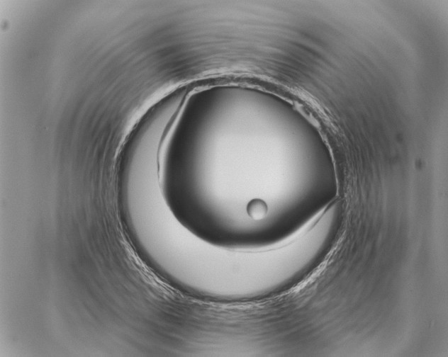 X0000086931118200705071346