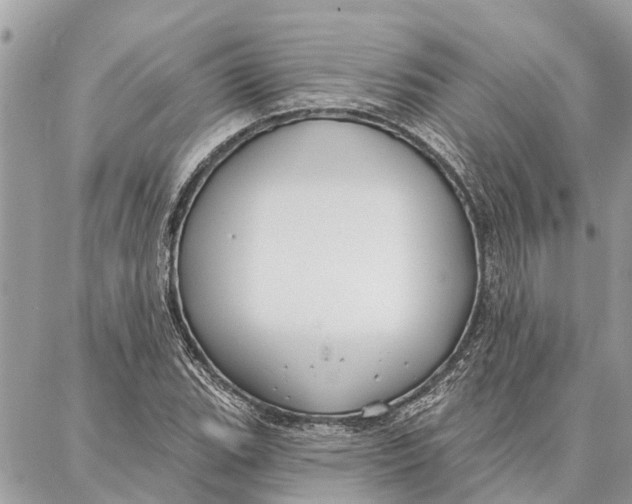 X0000086931119200705071346