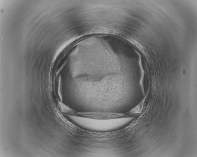 X0000086931120200705071346