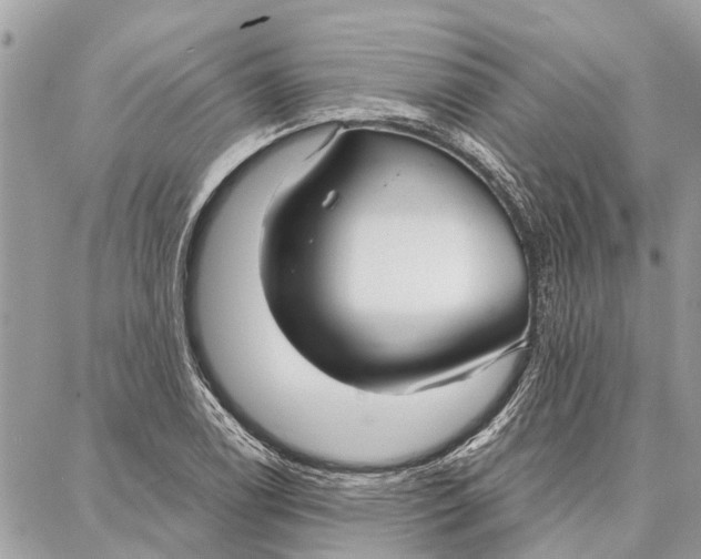 X0000086931122200705071346