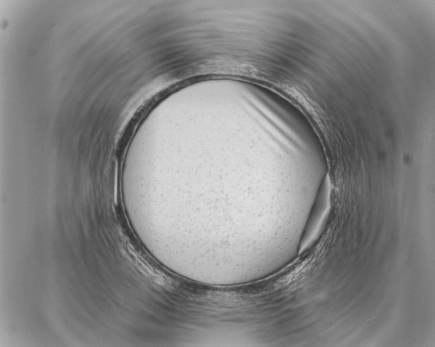 X0000086931123200705071346