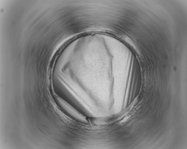 X0000086931124200705071346