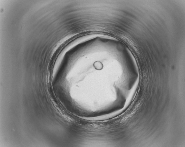 X0000086931125200705071346