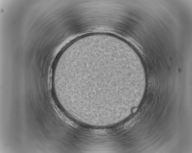 X0000086931126200705071346