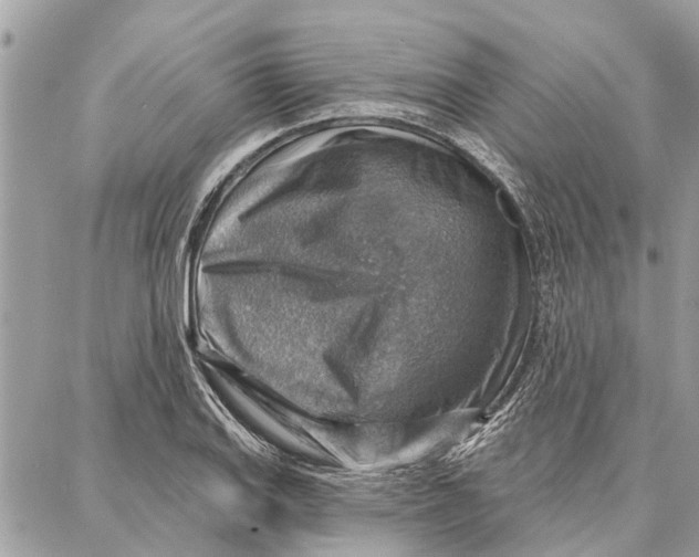 X0000086931127200705071346